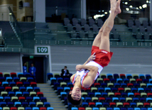 Bakıda idman gimnastikası üzrə Dünya Kuboku yarışlarının ikinci günü start götürüb. Azərbaycan, 20 fevral, 2016